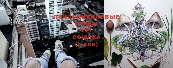 мет Абинск